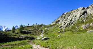 2379870.jpg 2379870.jpg