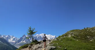 2379872.jpg 2379872.jpg