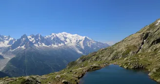 2379873.jpg 2379873.jpg