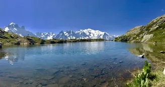 2379877.jpg 2379877.jpg