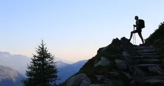 29454573.jpg