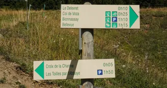 34598844.jpg 34598844.jpg