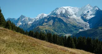 34598846.jpg 34598846.jpg