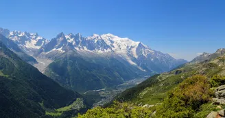 4170268.jpg 4170268.jpg