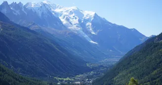 8375564.jpg 8375564.jpg