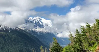 8375566.jpg 8375566.jpg