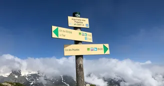 8375567.jpg 8375567.jpg