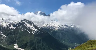 8375568.jpg 8375568.jpg