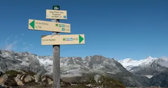 8375569.jpg 8375569.jpg