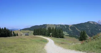 885895.jpg 885895.jpg