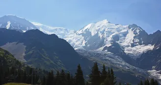 885896.jpg 885896.jpg