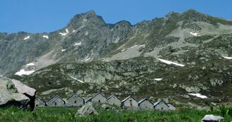 887012.jpg 887012.jpg